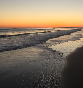 Meet your Posher, Elliott